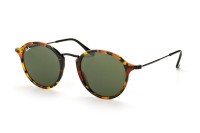 Ray Ban Round Icons Fleck RB2447 1157